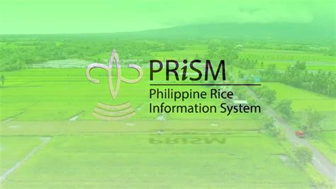 Philippine Rice Information System .